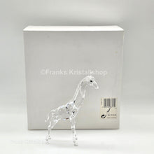 Lade das Bild in den Galerie-Viewer, SWAROVSKI Baby Giraffe 236717 oU
