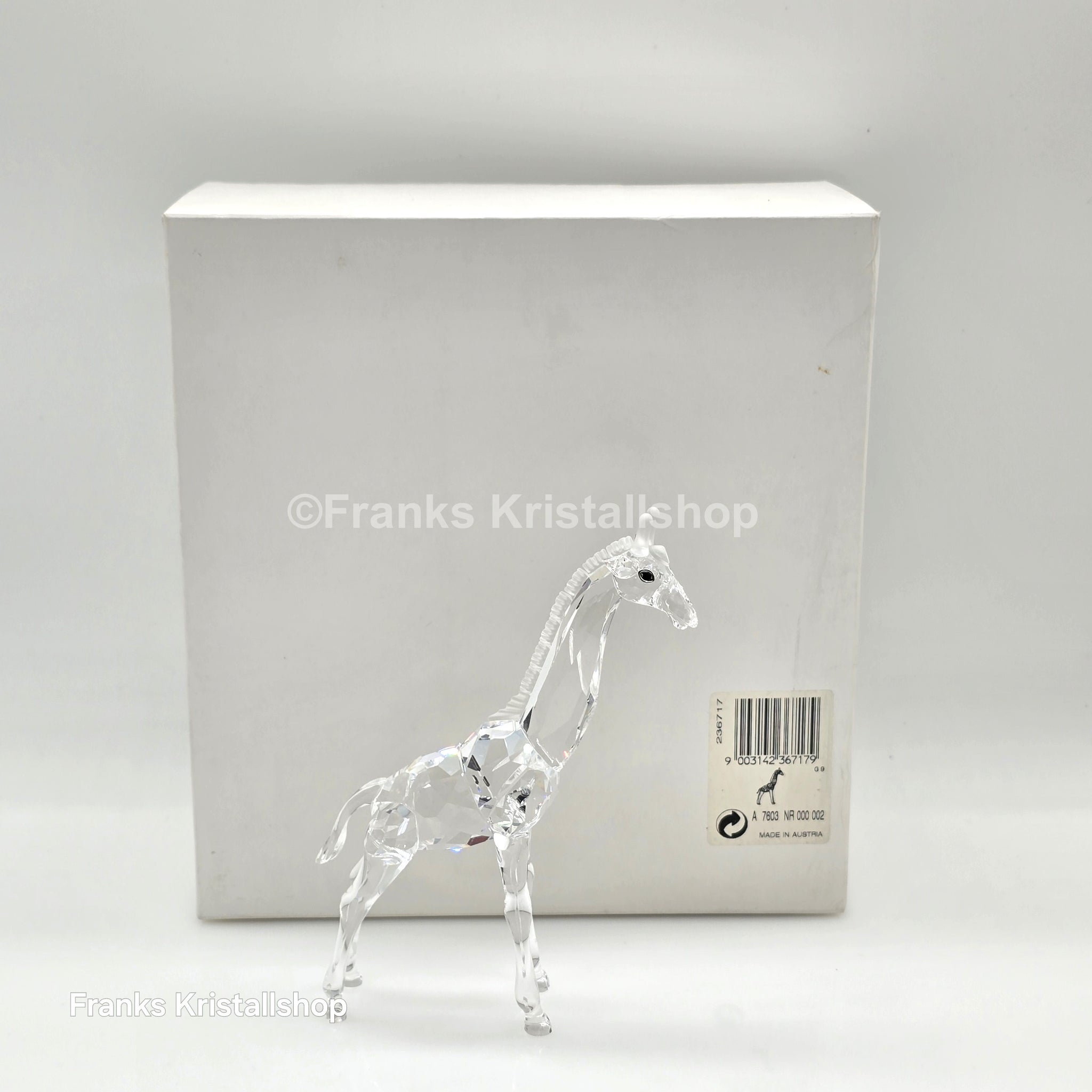 Schwarz Weiß Detaillierte Giraffe Bleistift Skizze, Nd Weiße Detaillierte  Giraffe Bleistiftskizze, Stichwörter Giraffe Bleistiftskizze, Schwarze Und  Weiße Giraffe PNG Bild und Clipart zum kostenlosen Download, image size:2048x2048