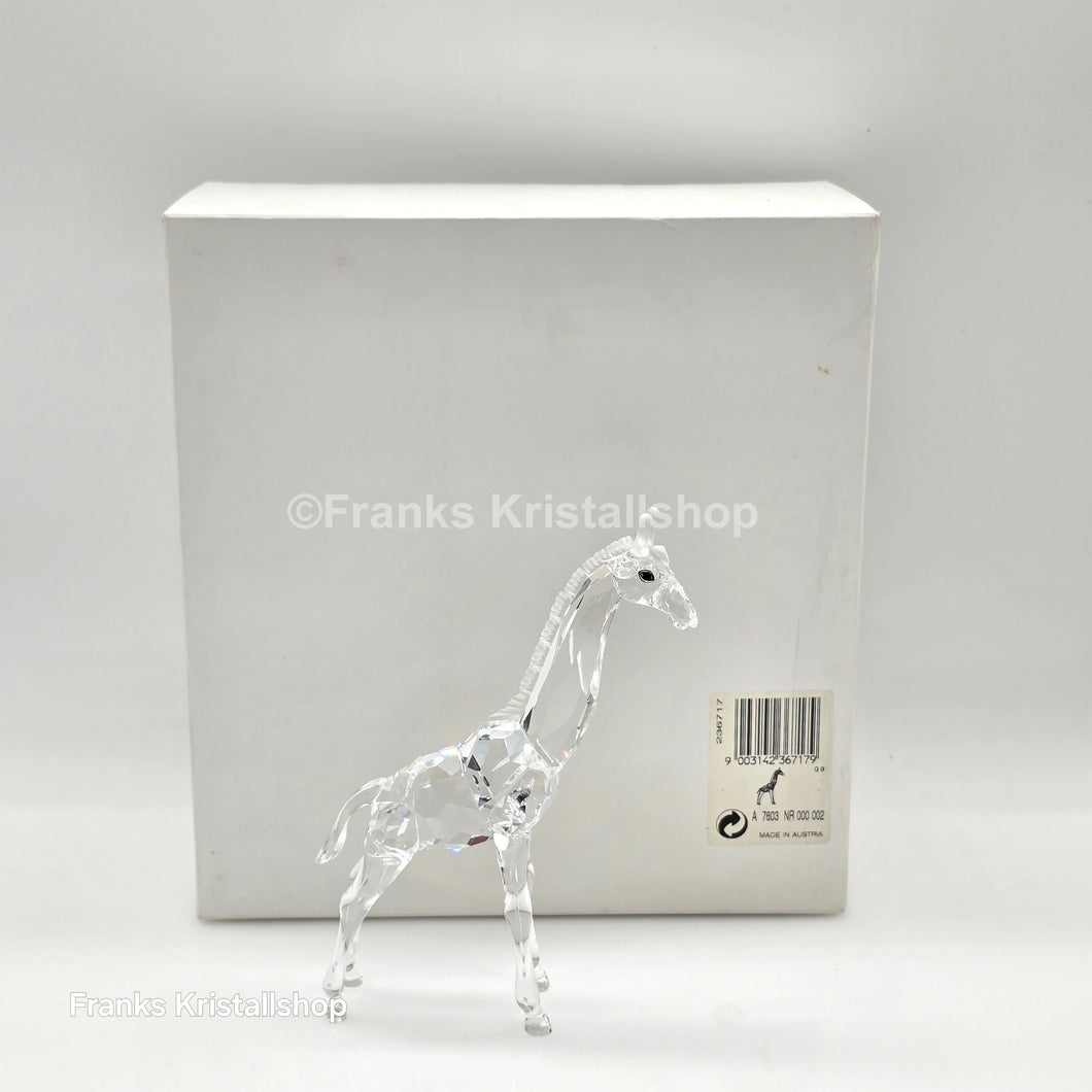 SWAROVSKI Baby Giraffe 236717 oU