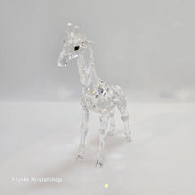 Lade das Bild in den Galerie-Viewer, SWAROVSKI Baby Giraffe 236717
