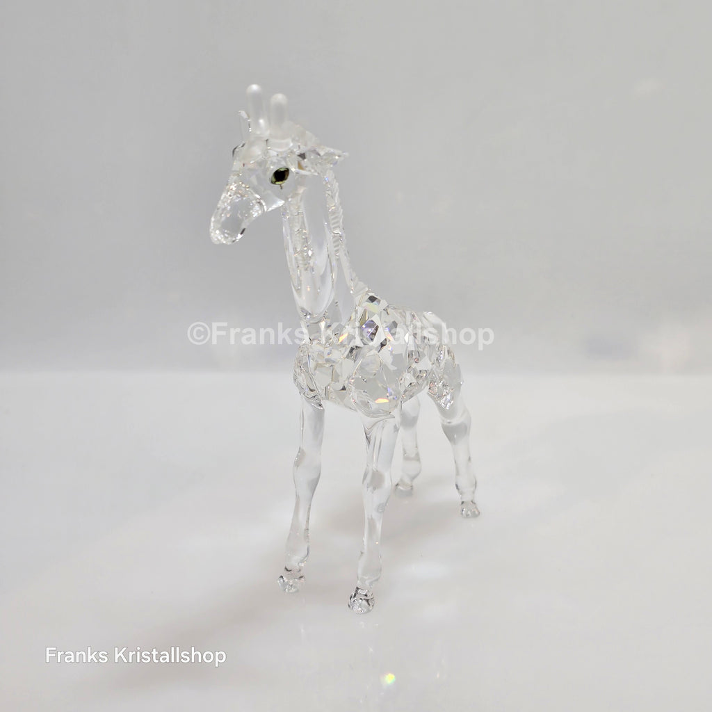 SWAROVSKI Baby Giraffe 236717
