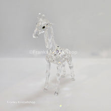 Lade das Bild in den Galerie-Viewer, SWAROVSKI Baby Giraffe 236717 oU
