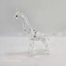 Lade das Bild in den Galerie-Viewer, SWAROVSKI Baby Giraffe 236717
