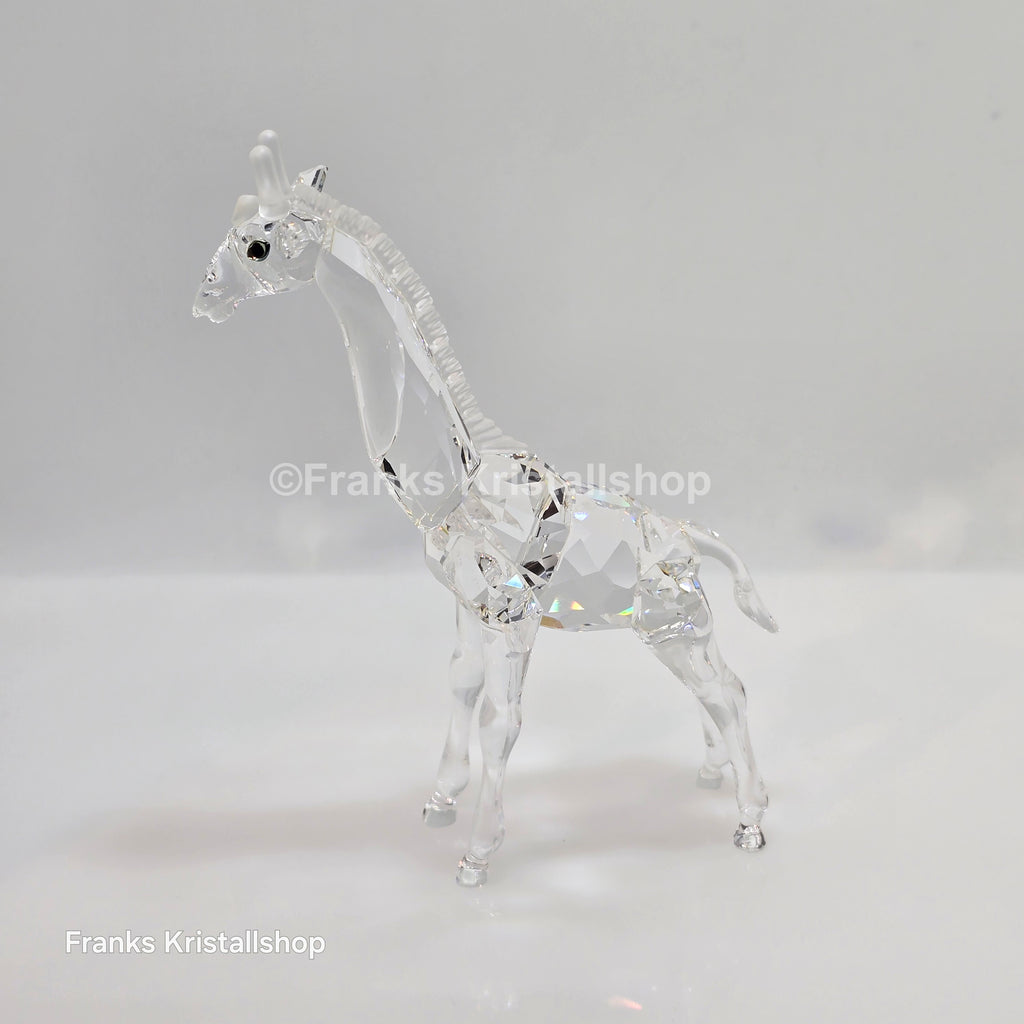 SWAROVSKI Baby Giraffe 236717