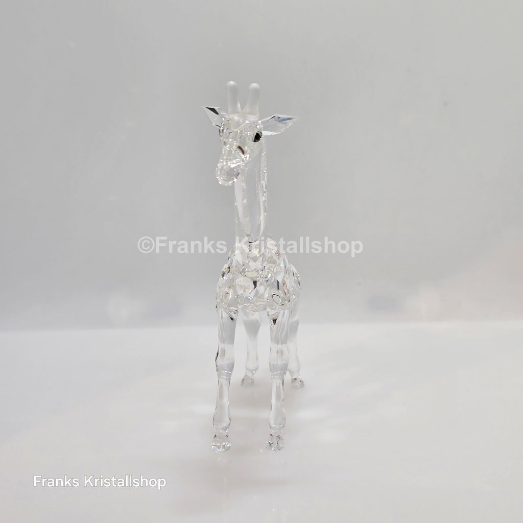 SWAROVSKI Baby Giraffe 236717