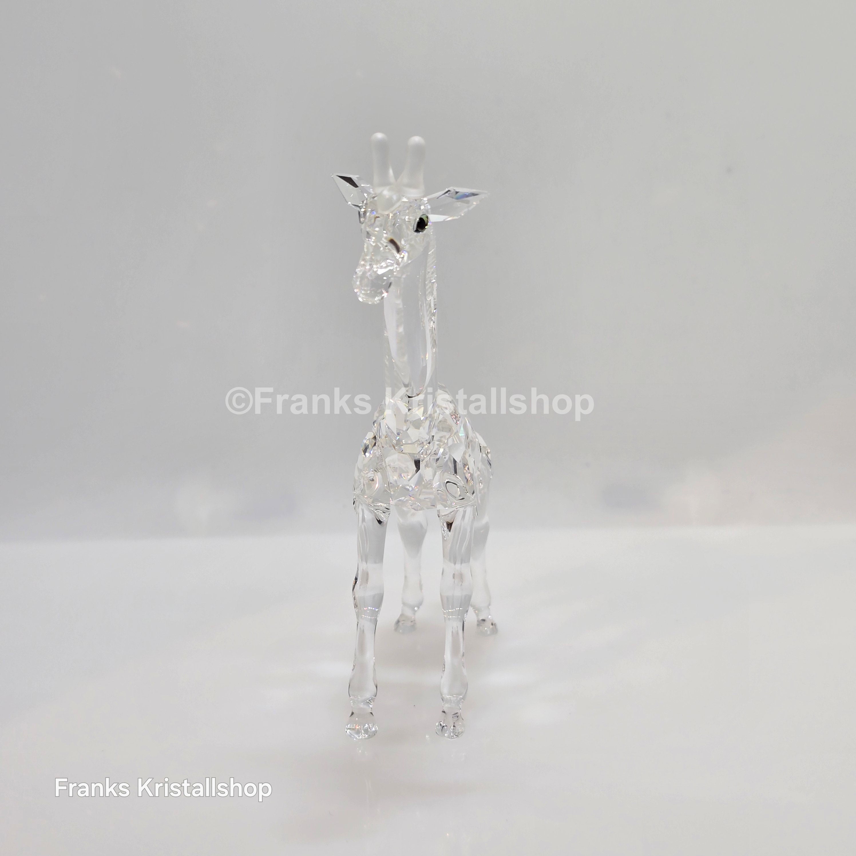 SWAROVSKI Baby Giraffe 236717