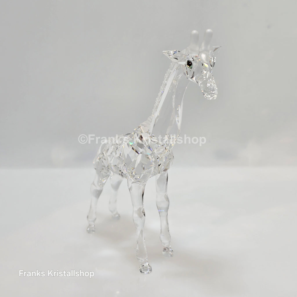 SWAROVSKI Baby Giraffe 236717