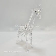 Lade das Bild in den Galerie-Viewer, SWAROVSKI Baby Giraffe 236717 oU
