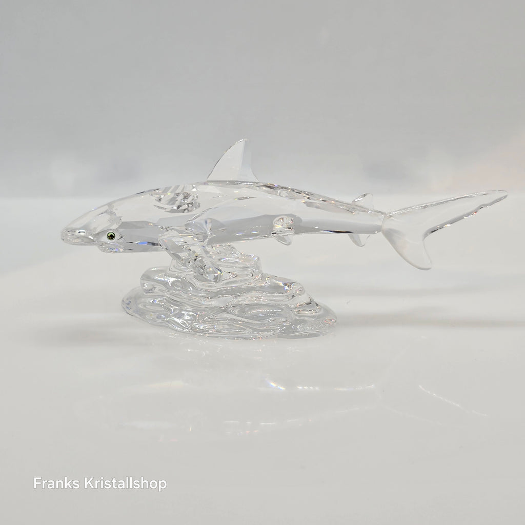 SWAROVSKI Baby Hai 269236