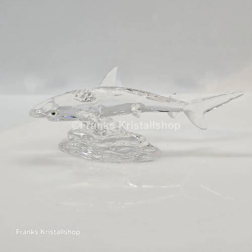 SWAROVSKI Baby Hai 269236