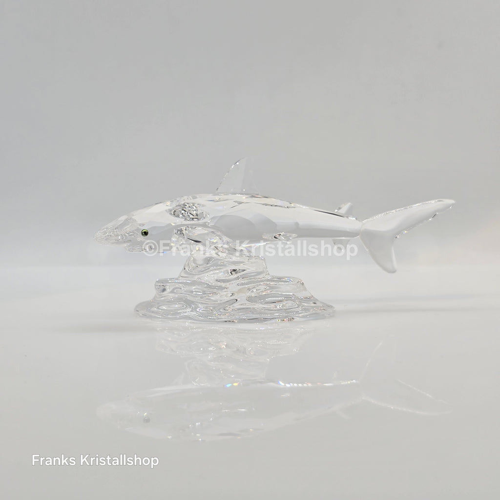 SWAROVSKI Baby Hai 269236