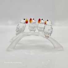 Lade das Bild in den Galerie-Viewer, SWAROVSKI Baby Lovbirds Papageien 199123
