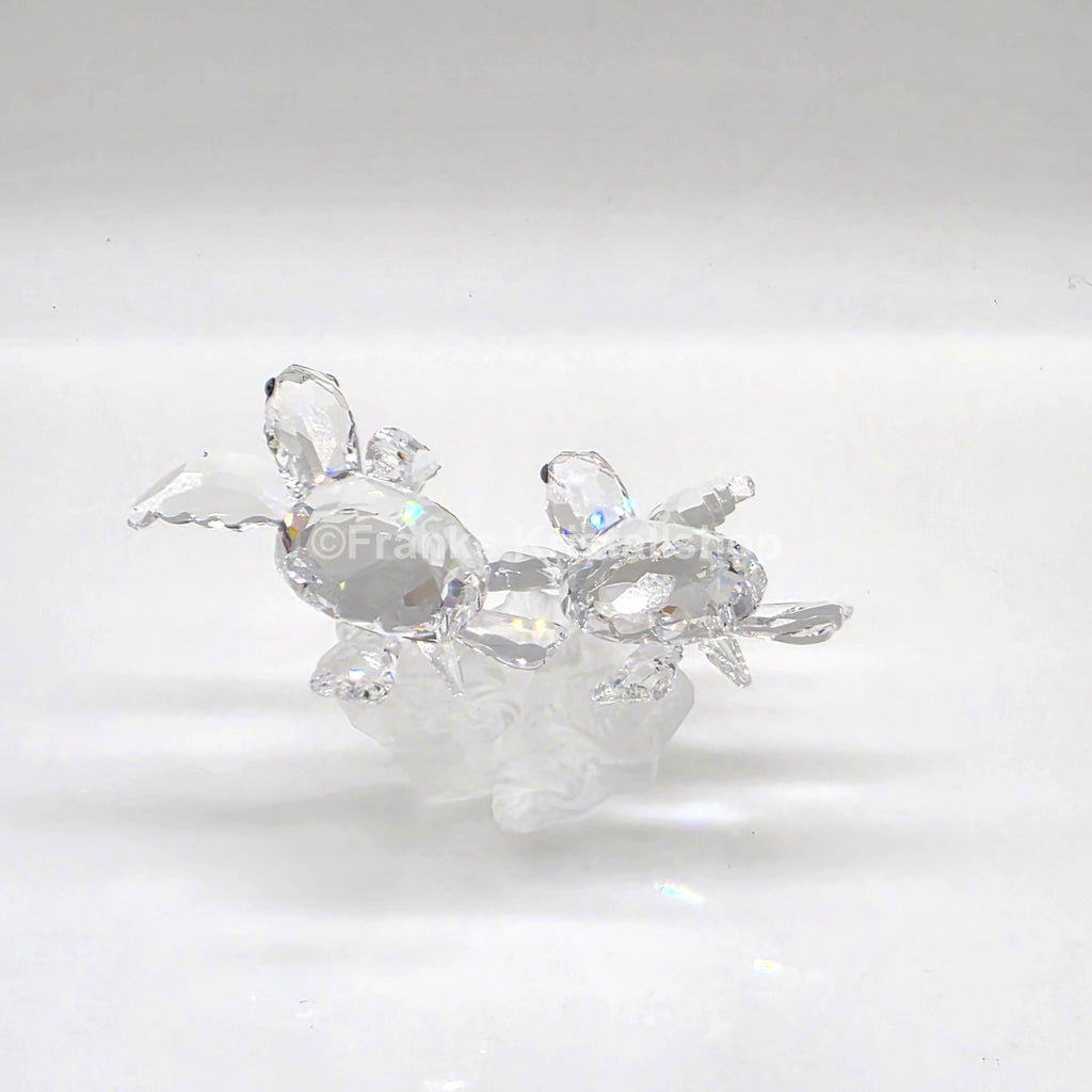 SWAROVSKI Baby Meeresschildkröten 826480