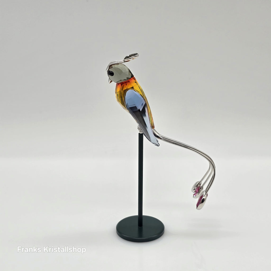 SWAROVSKI Banamba Crystal Paradise Bird 284064