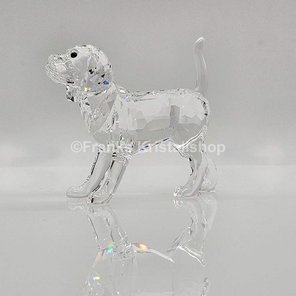 SWAROVSKI Beagle groß Stehend 5135917