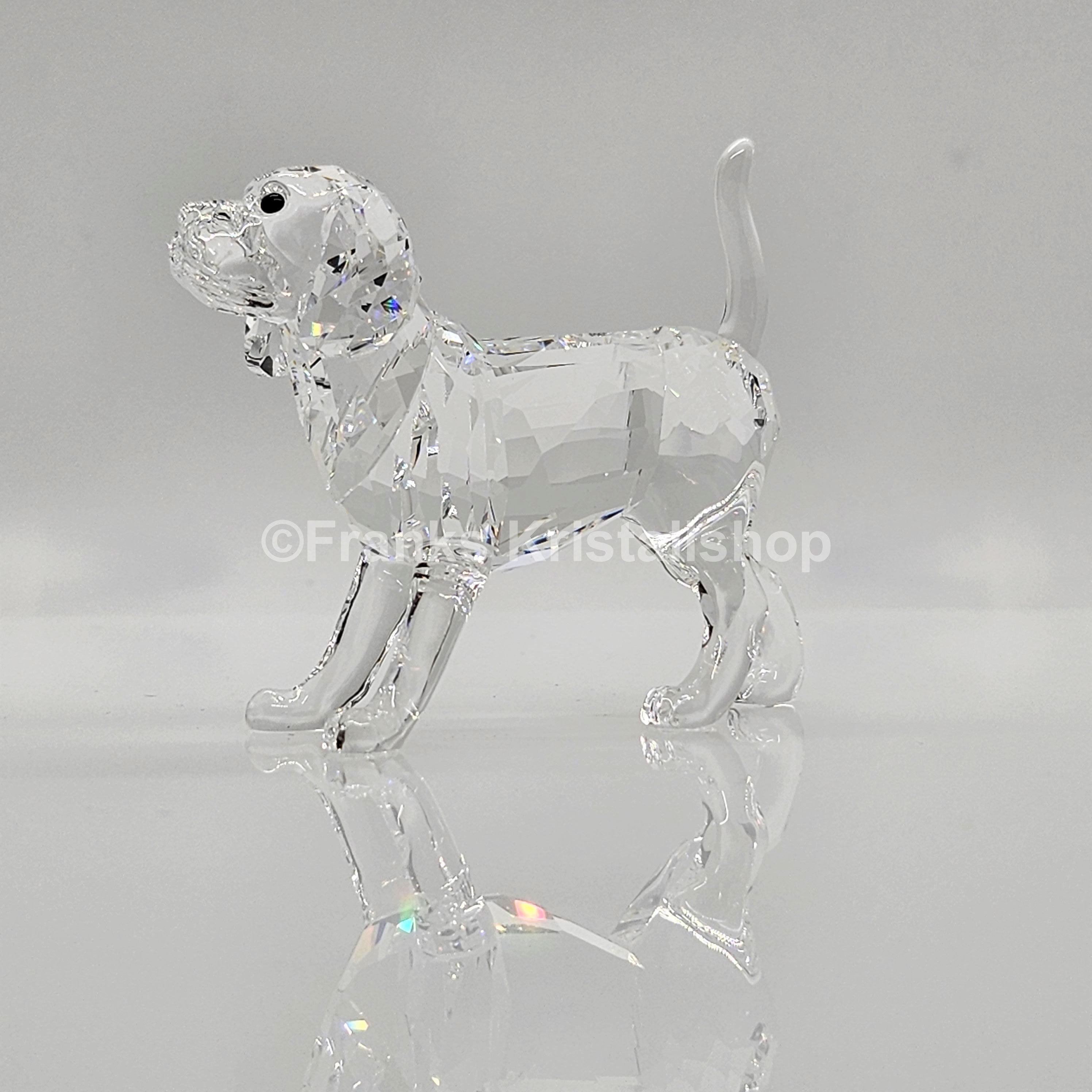 SWAROVSKI Beagle groß Stehend 5135917