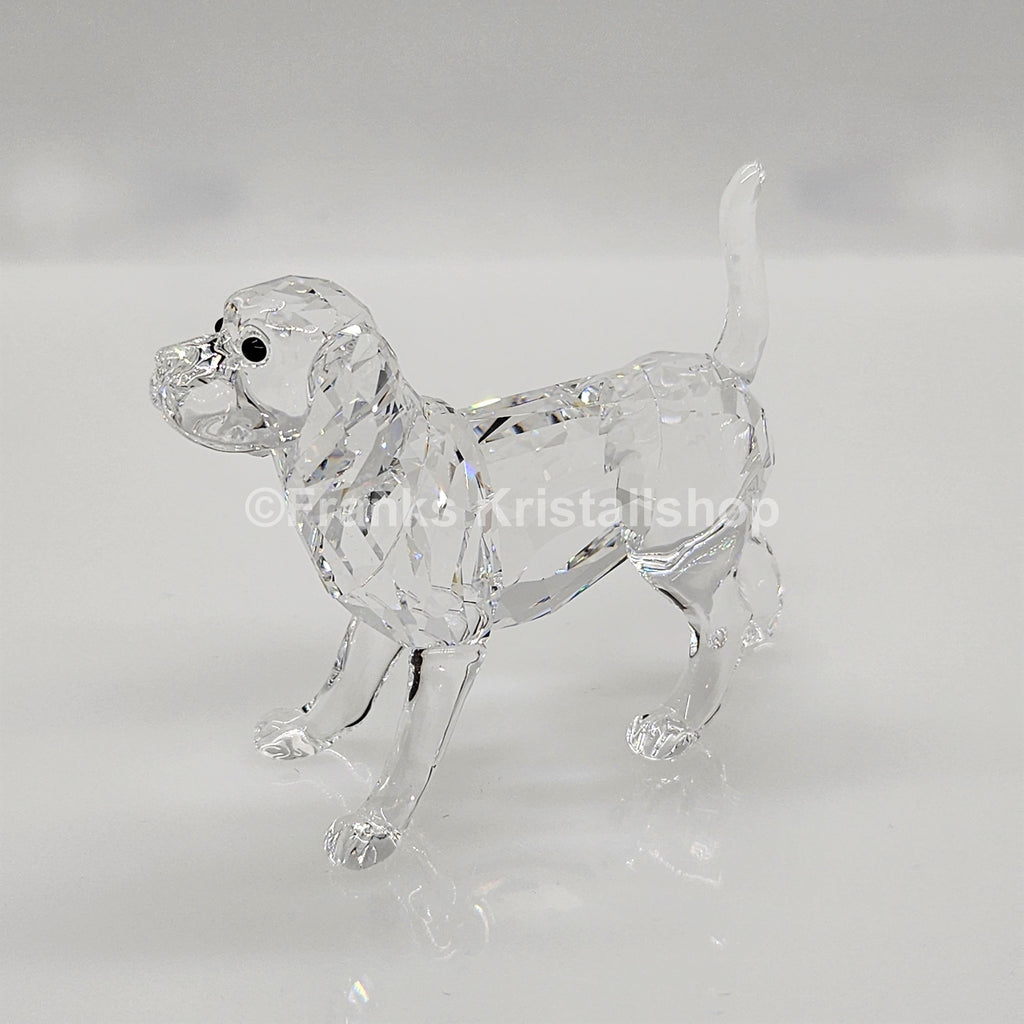 SWAROVSKI Beagle groß Stehend 5135917
