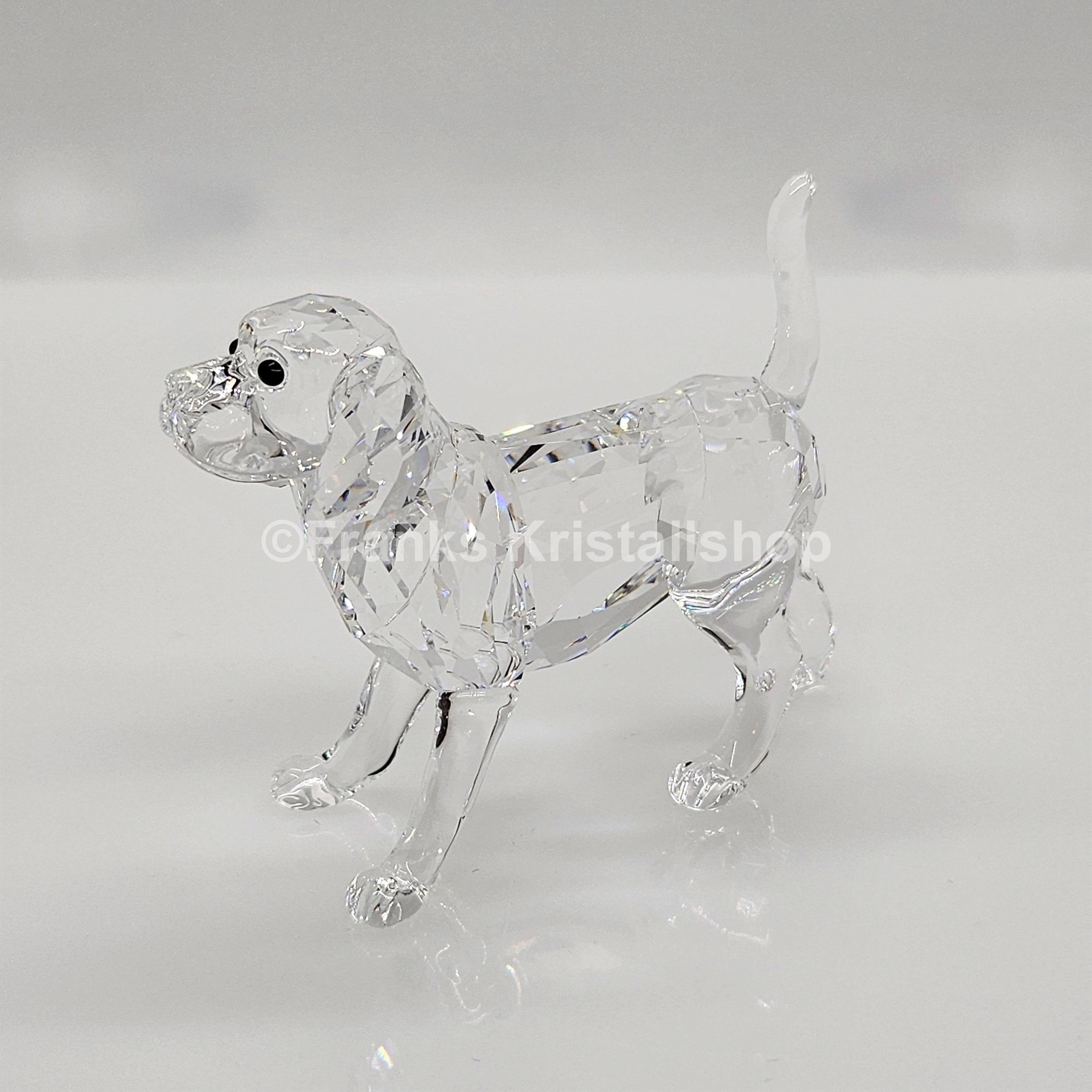 SWAROVSKI Beagle groß Stehend 5135917