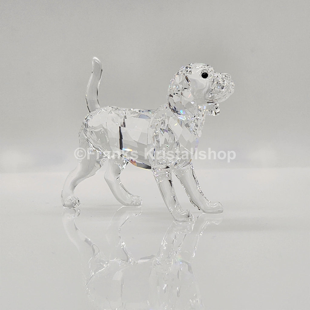 SWAROVSKI Beagle groß Stehend 5135917