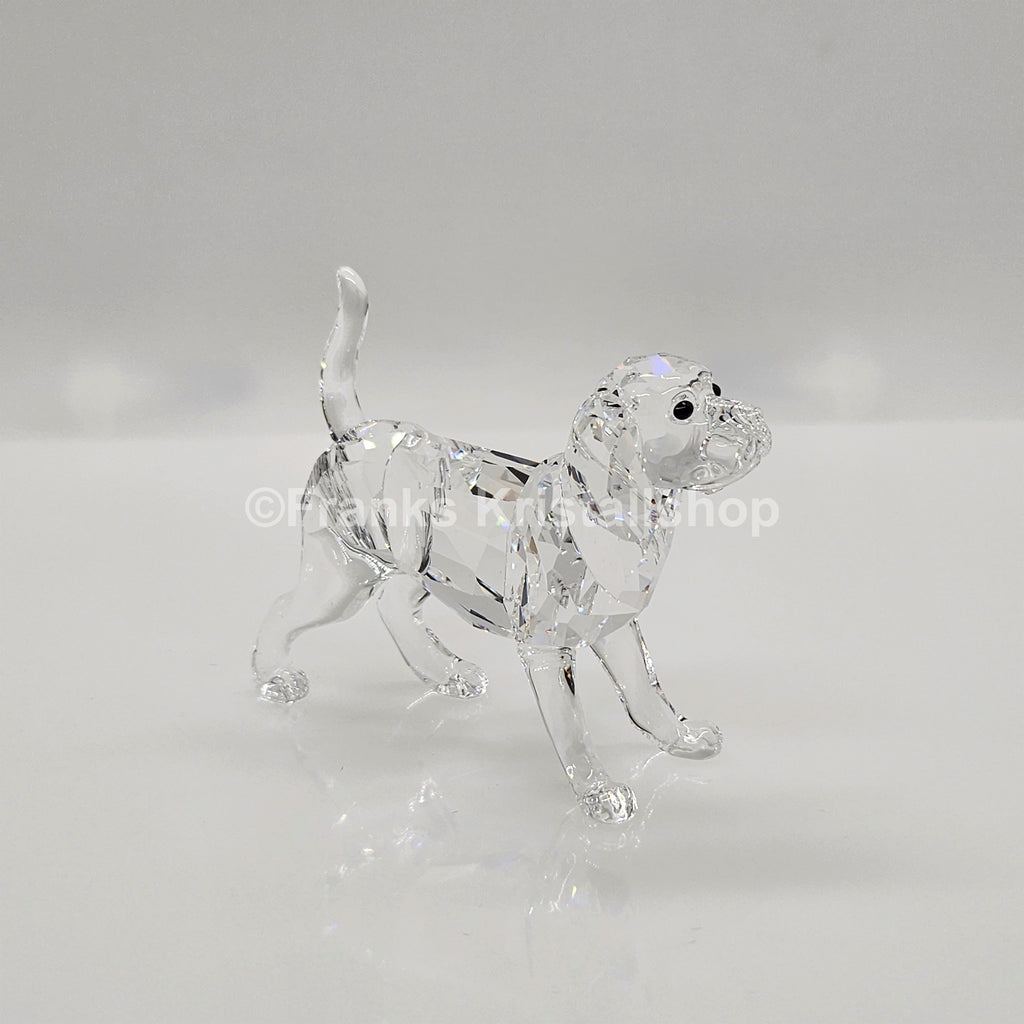 SWAROVSKI Beagle groß Stehend 5135917