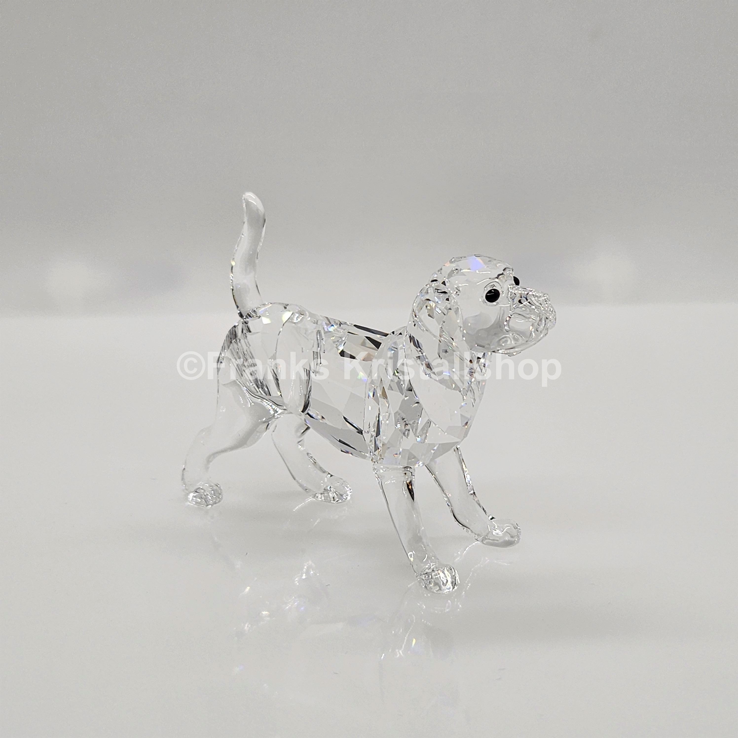 SWAROVSKI Beagle groß Stehend 5135917
