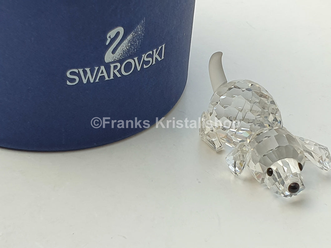 SWAROVSKI Beagle klein spielend 172296