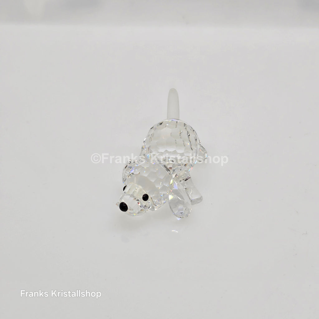 SWAROVSKI Beagle klein spielend 172296