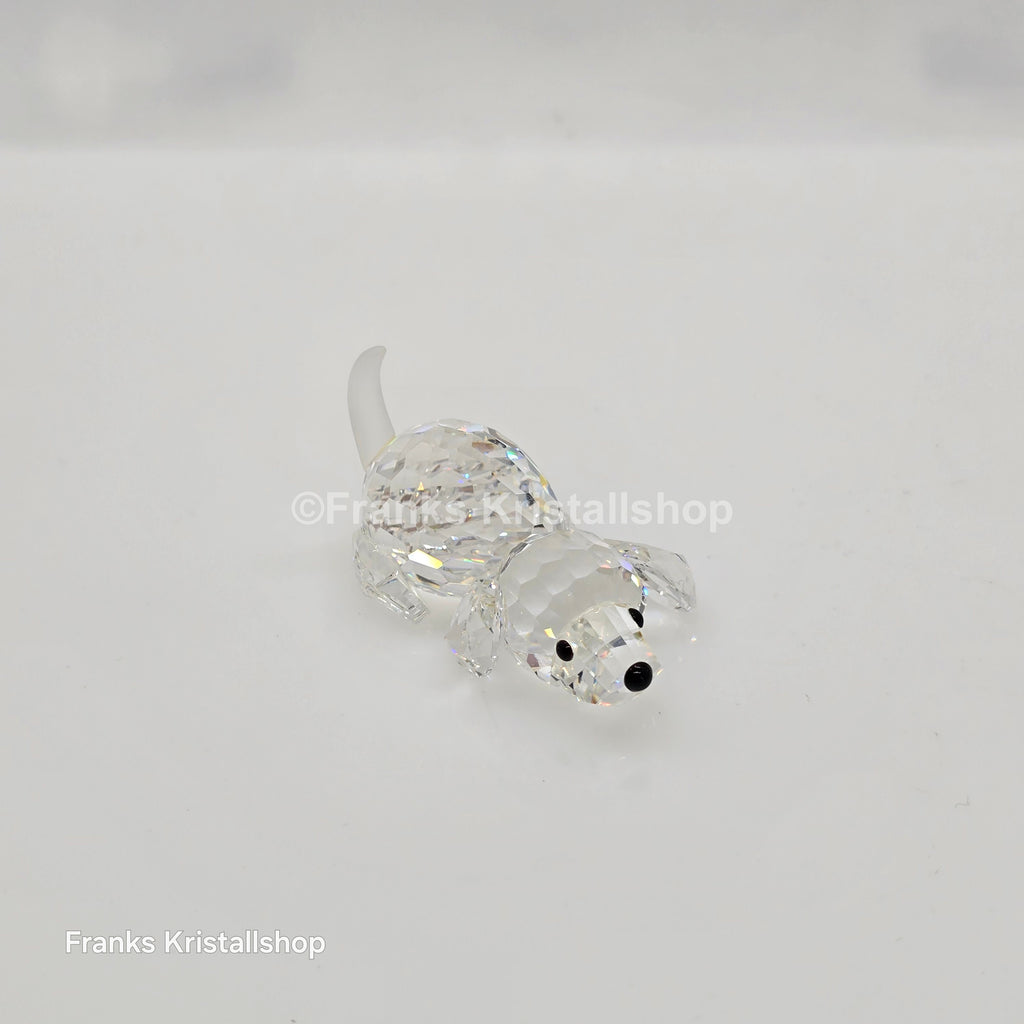 SWAROVSKI Beagle klein spielend 172296