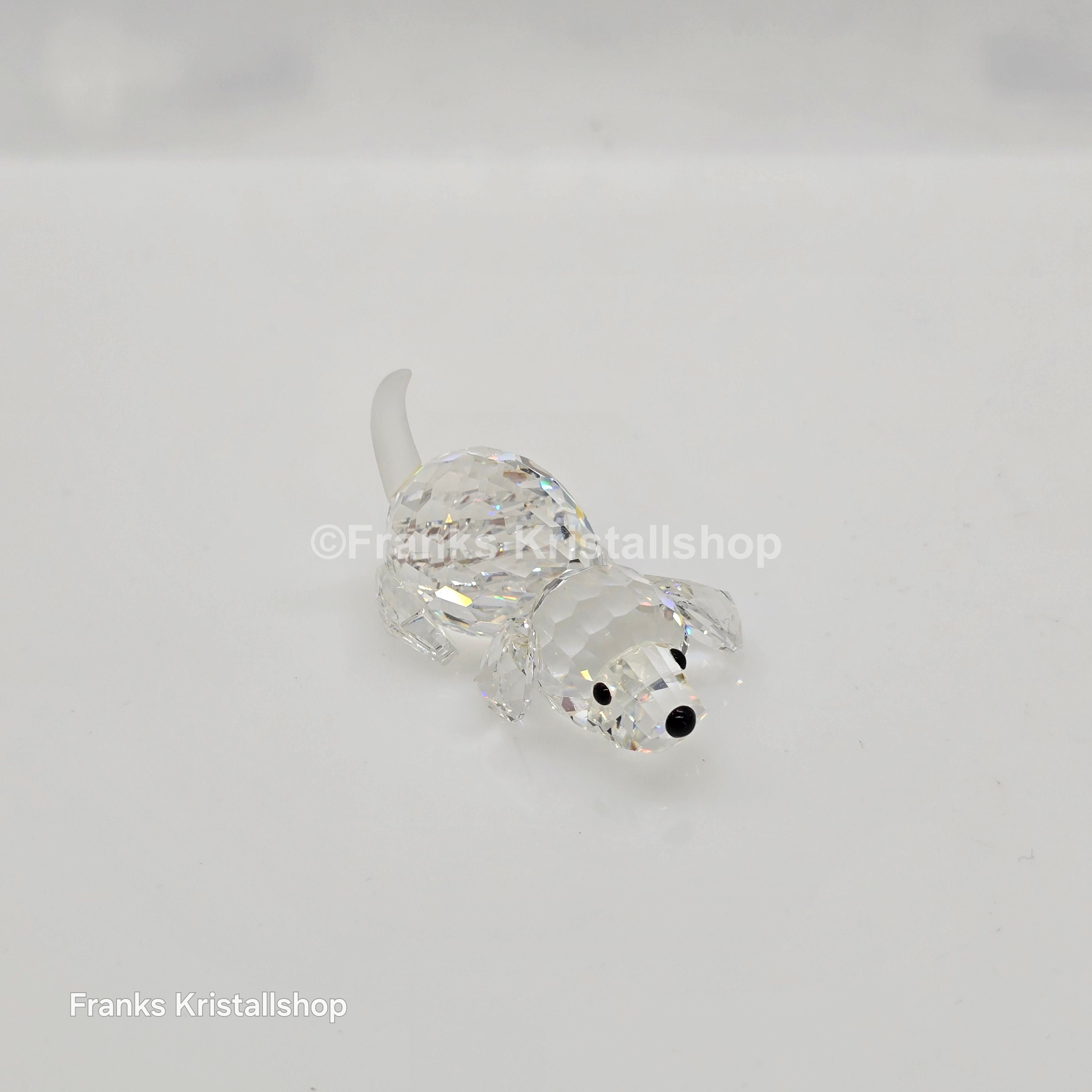 SWAROVSKI Beagle klein spielend 172296