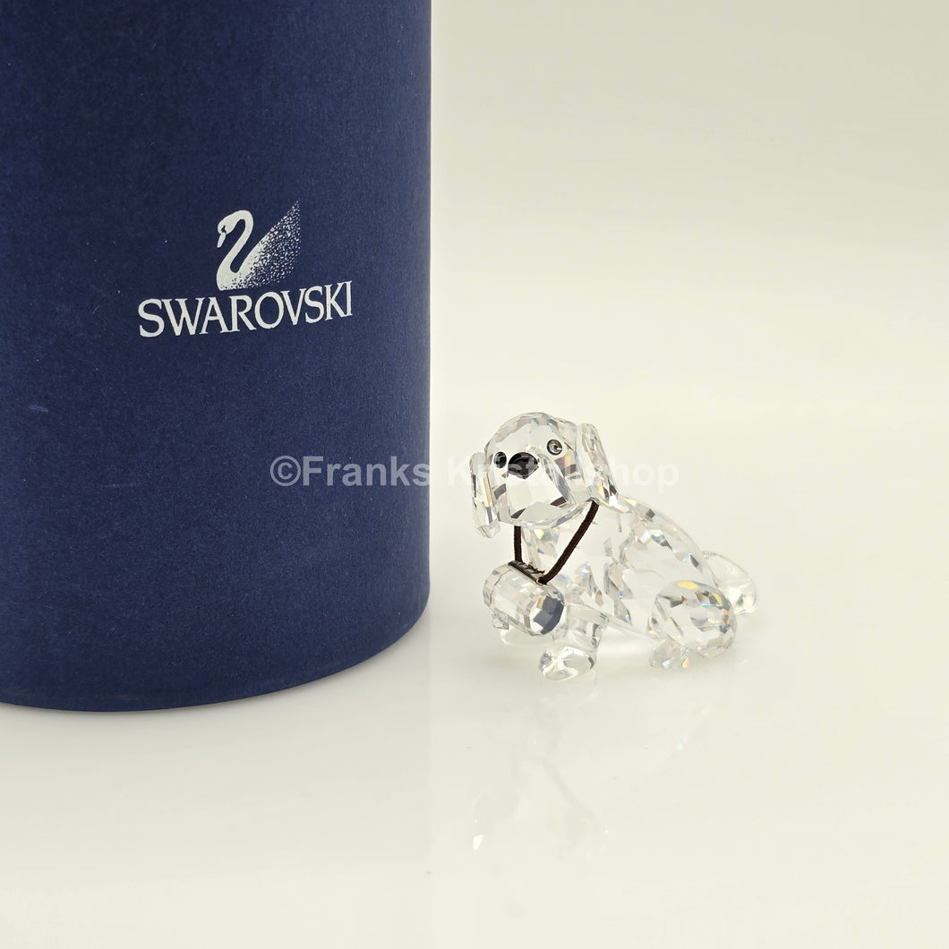 SWAROVSKI Bernhardiner 201111