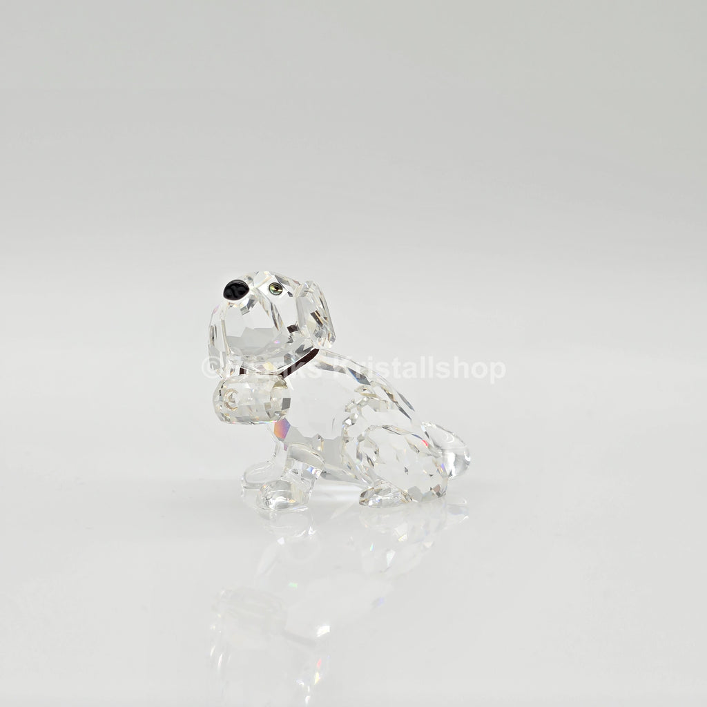 SWAROVSKI Bernhardiner 201111