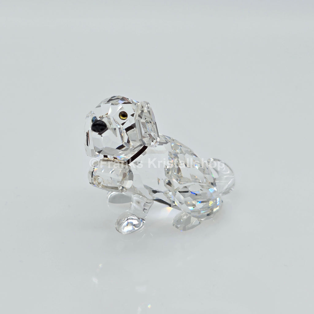 SWAROVSKI Bernhardiner 201111