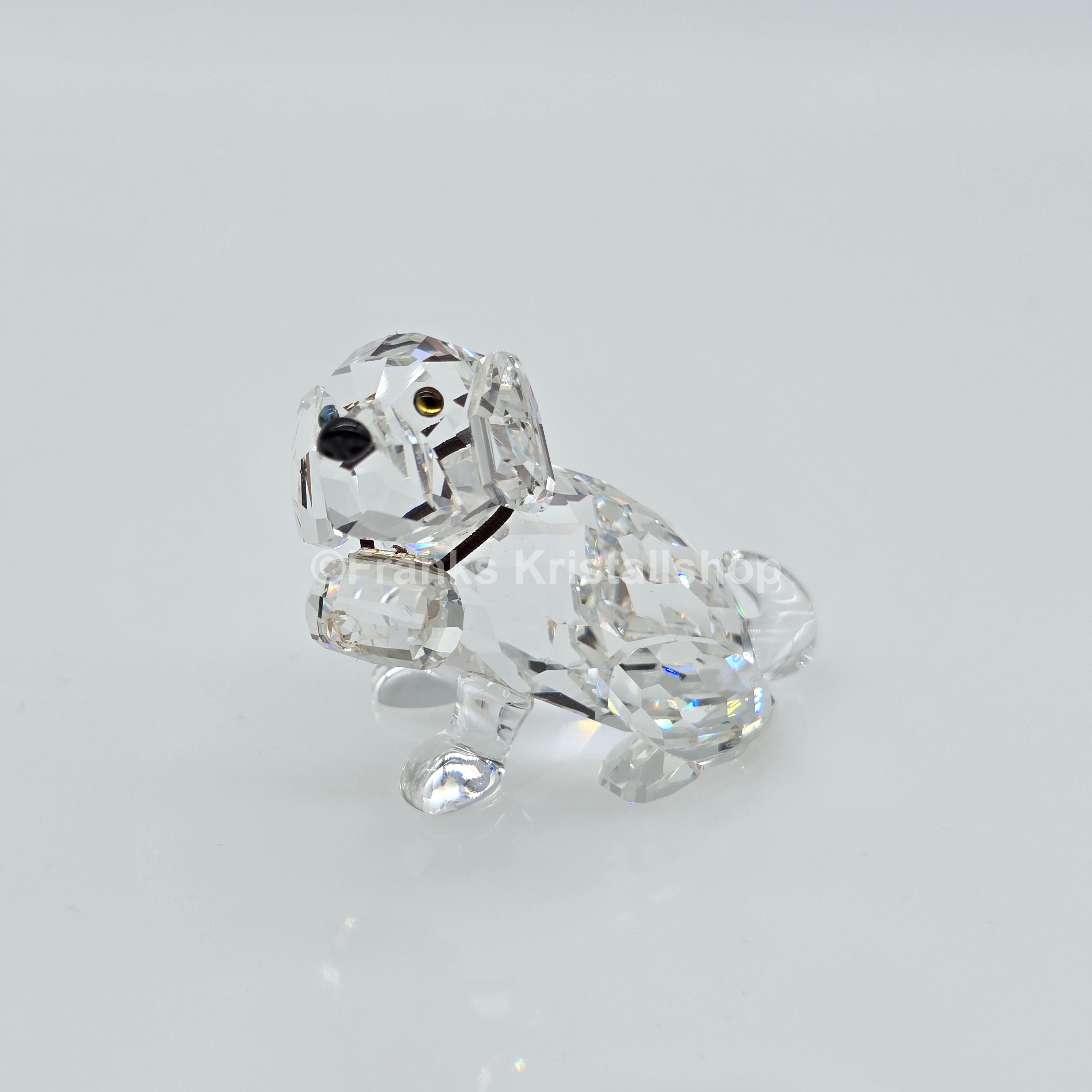SWAROVSKI Bernhardiner 201111