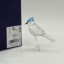 Lade das Bild in den Galerie-Viewer, SWAROVSKI Blauhäher 5705326
