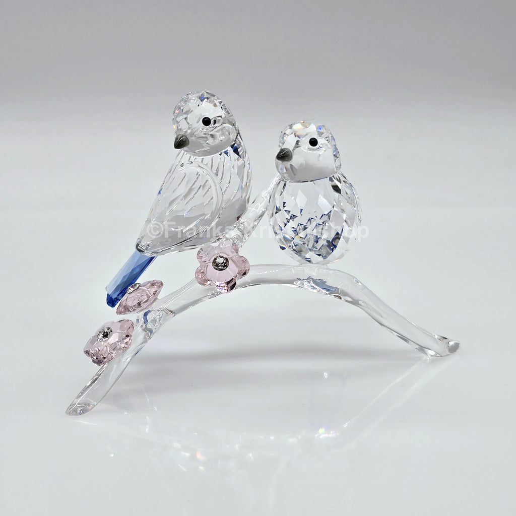 SWAROVSKI Blaumeisen 5004727 oU