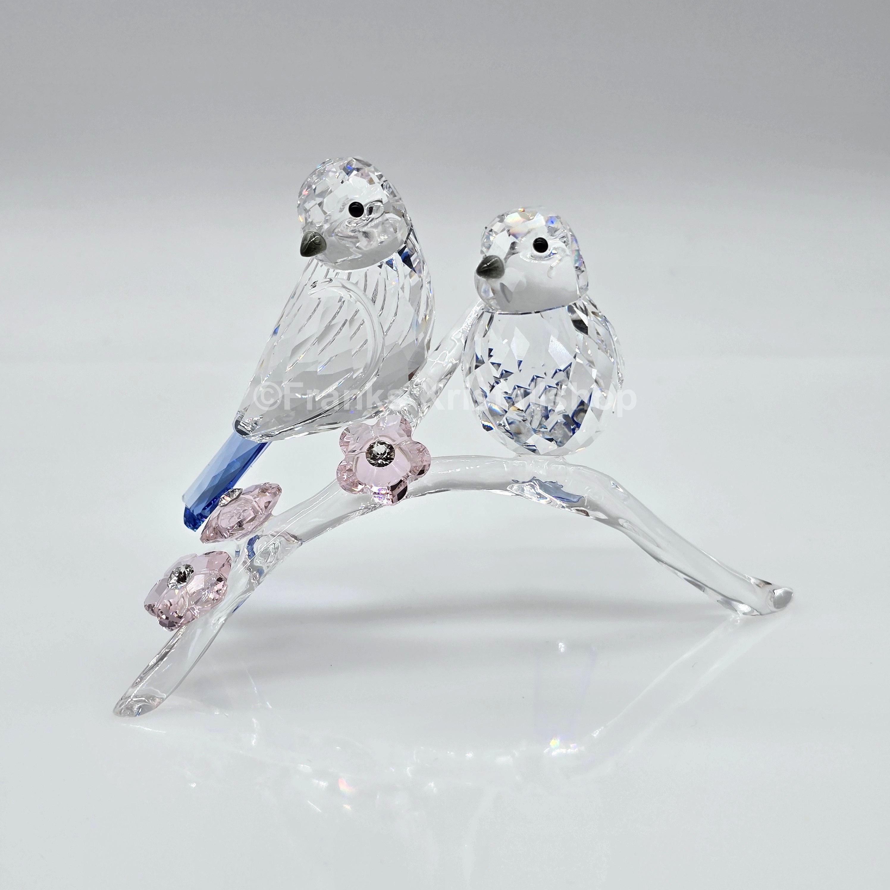 SWAROVSKI Blaumeisen 5004727 oU