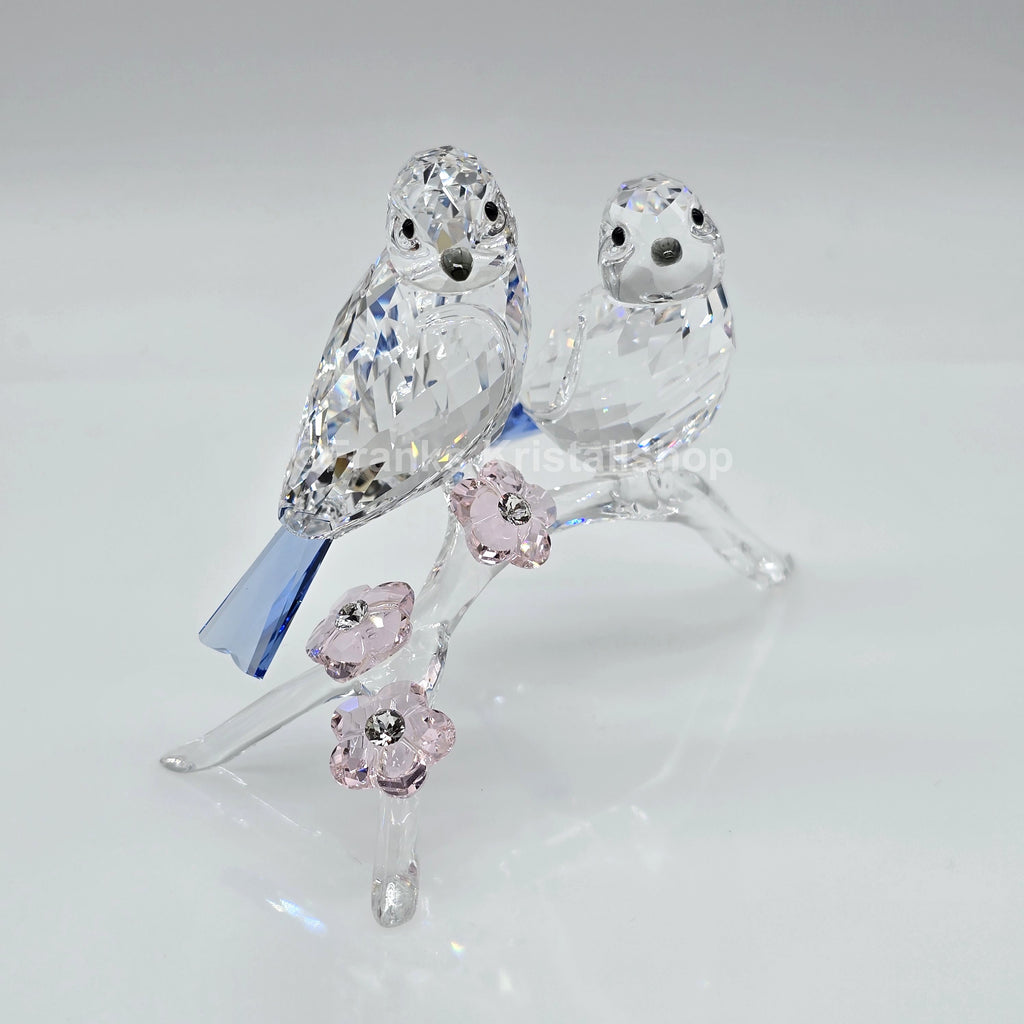 SWAROVSKI Blaumeisen 5004727 oU
