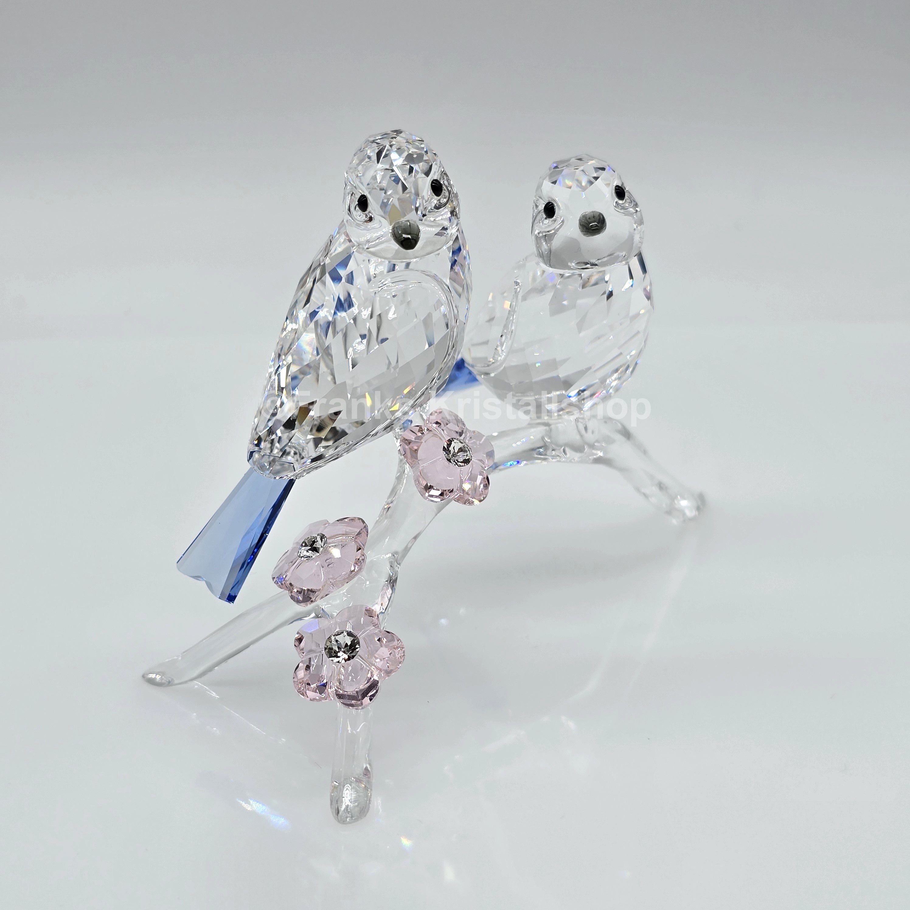 SWAROVSKI Blaumeisen 5004727 oU