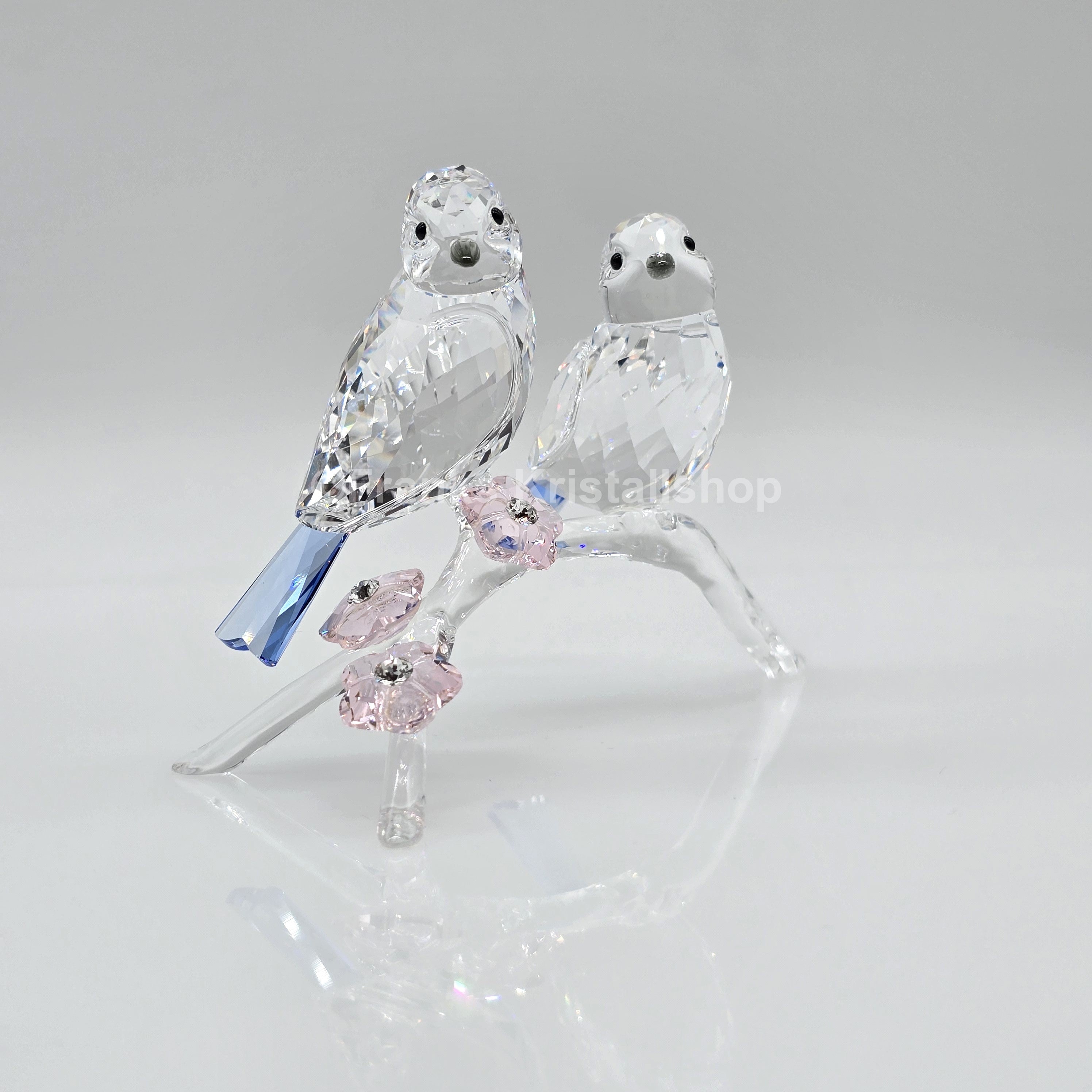 SWAROVSKI Blaumeisen 5004727 oU
