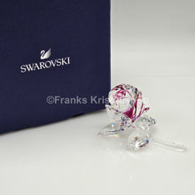 Lade das Bild in den Galerie-Viewer, SWAROVSKI Blumenträume Blühende Rose Rosa 5688517
