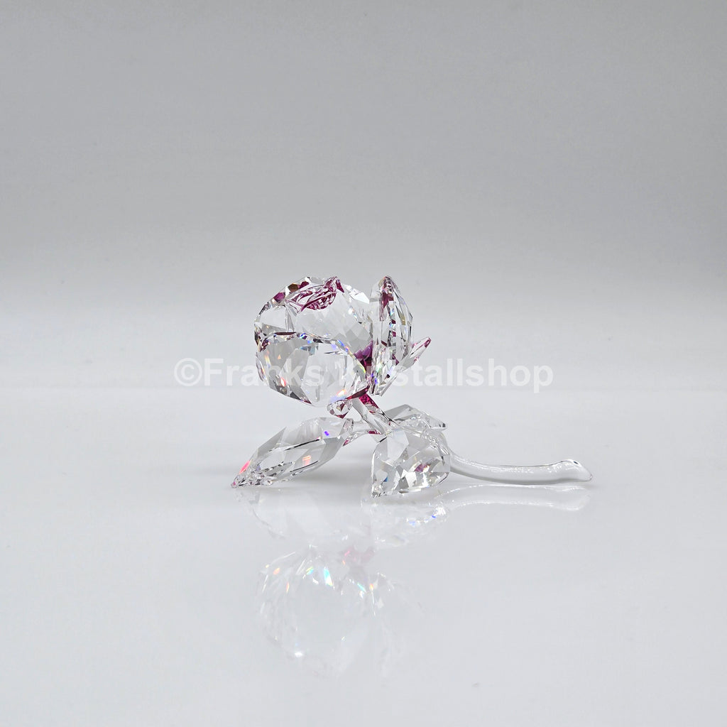 SWAROVSKI Blumenträume Blühende Rose Rosa 5688517
