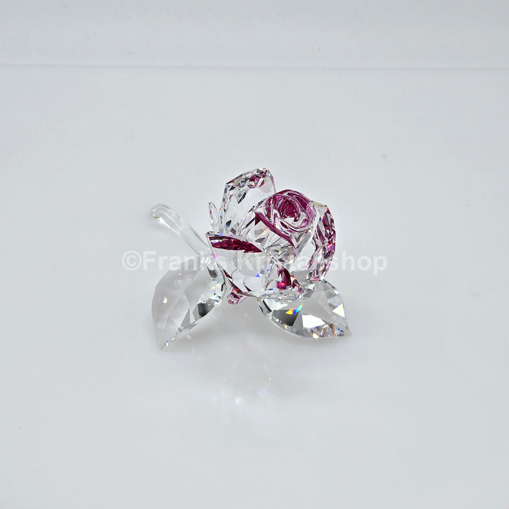 SWAROVSKI Blumenträume Blühende Rose Rosa 5688517