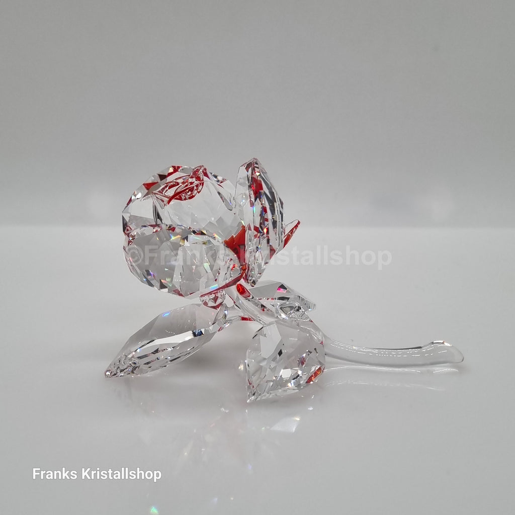 SWAROVSKI Blumenträume Blühende Rose Rot 5428561