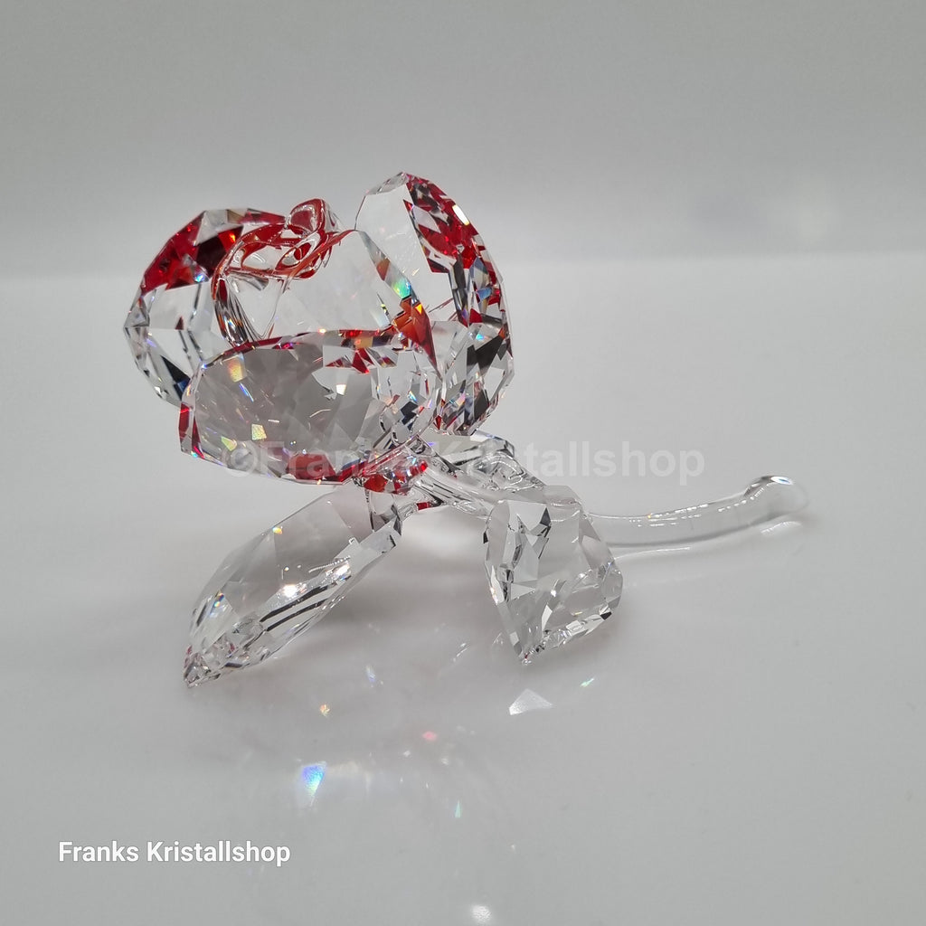 SWAROVSKI Blumenträume Blühende Rose Rot 5428561