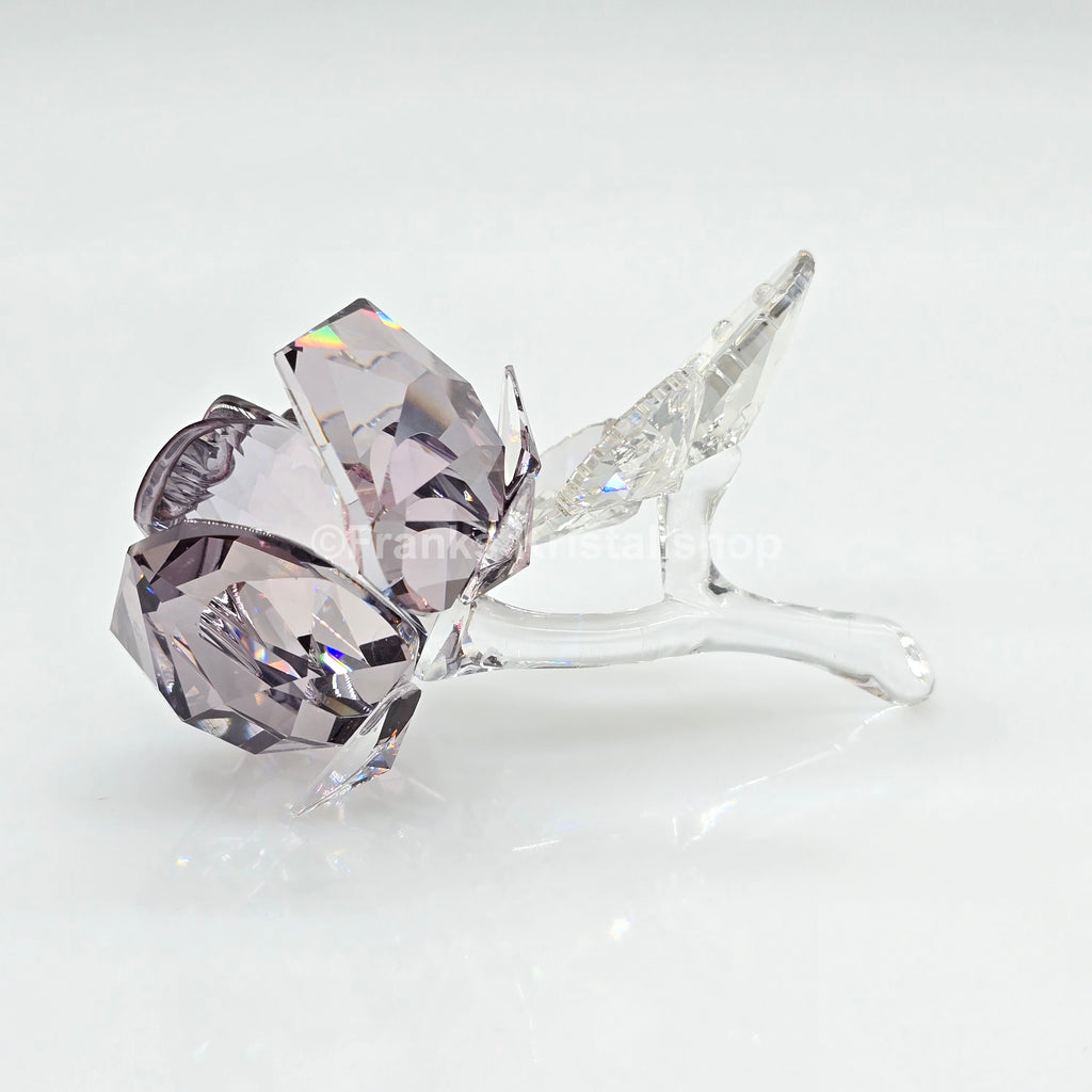 SWAROVSKI Blühende Rose Silver Shade 1113884