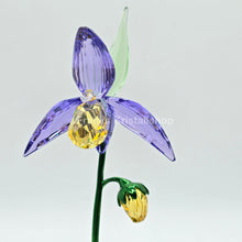 Lade das Bild in den Galerie-Viewer, SWAROVSKI Blume Florere Frauenschuh Blumenträume 5721548
