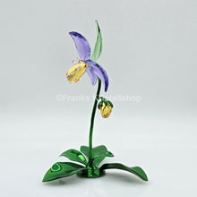 Lade das Bild in den Galerie-Viewer, SWAROVSKI Blume Florere Frauenschuh Blumenträume 5721548
