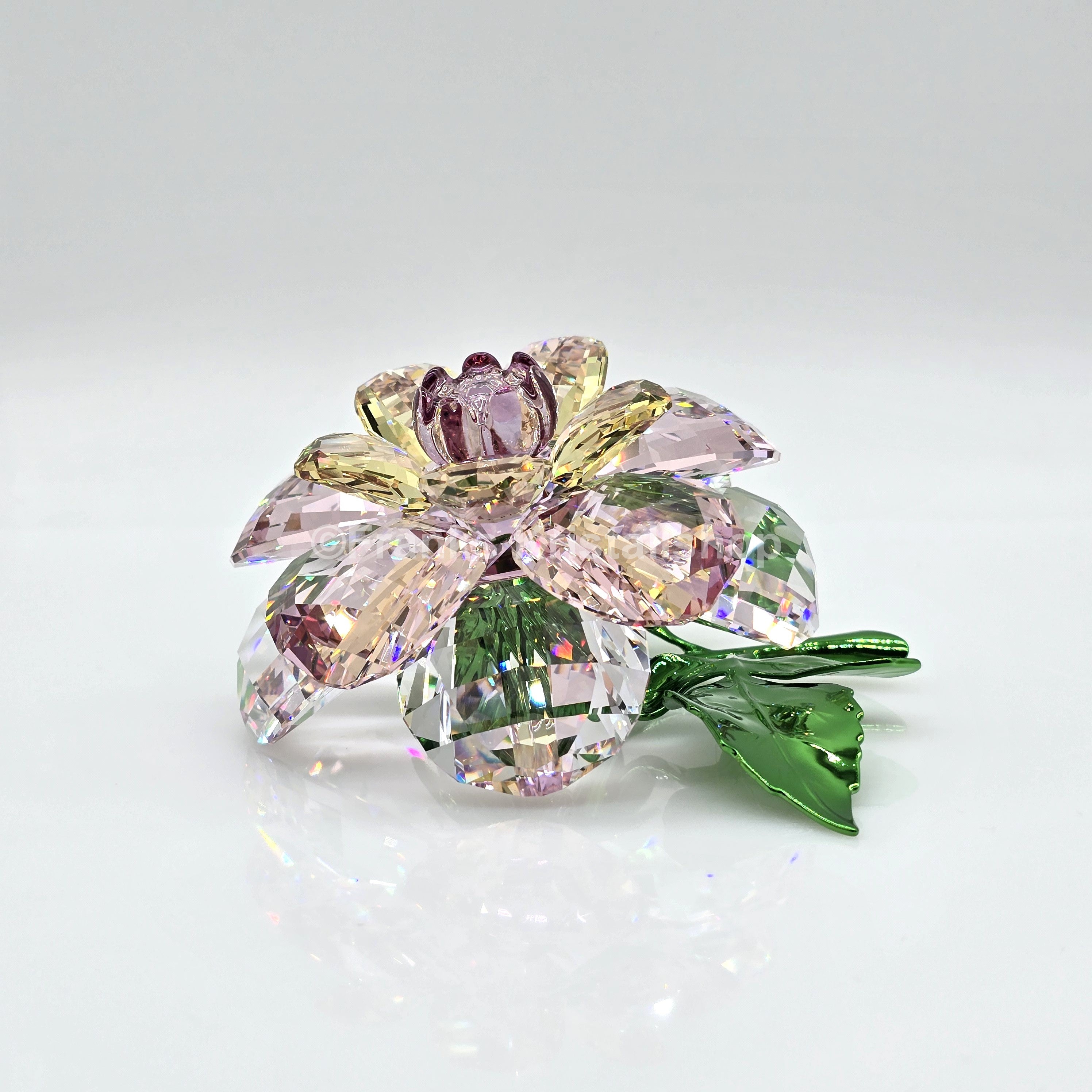 SWAROVSKI Blume Florere Kamelie Blumenträume 5721538