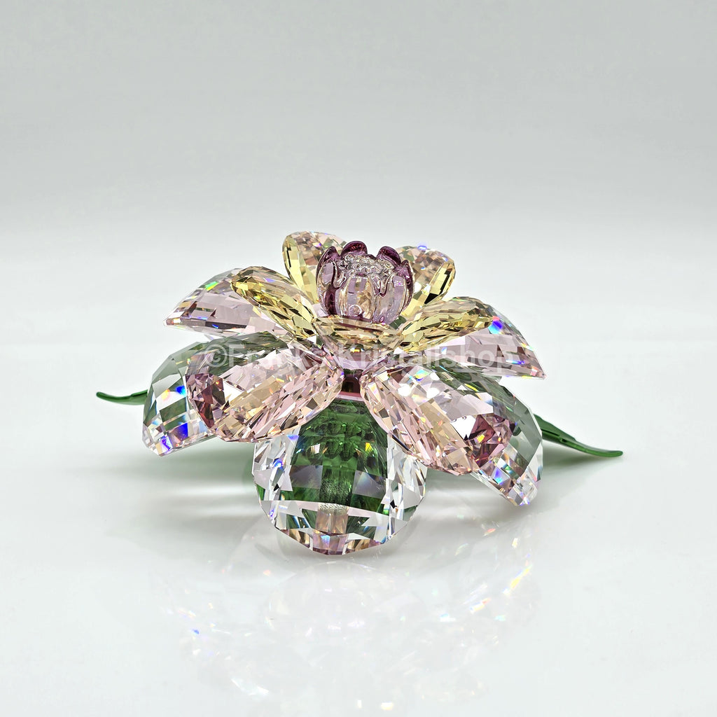 SWAROVSKI Blume Florere Kamelie Blumenträume 5721538