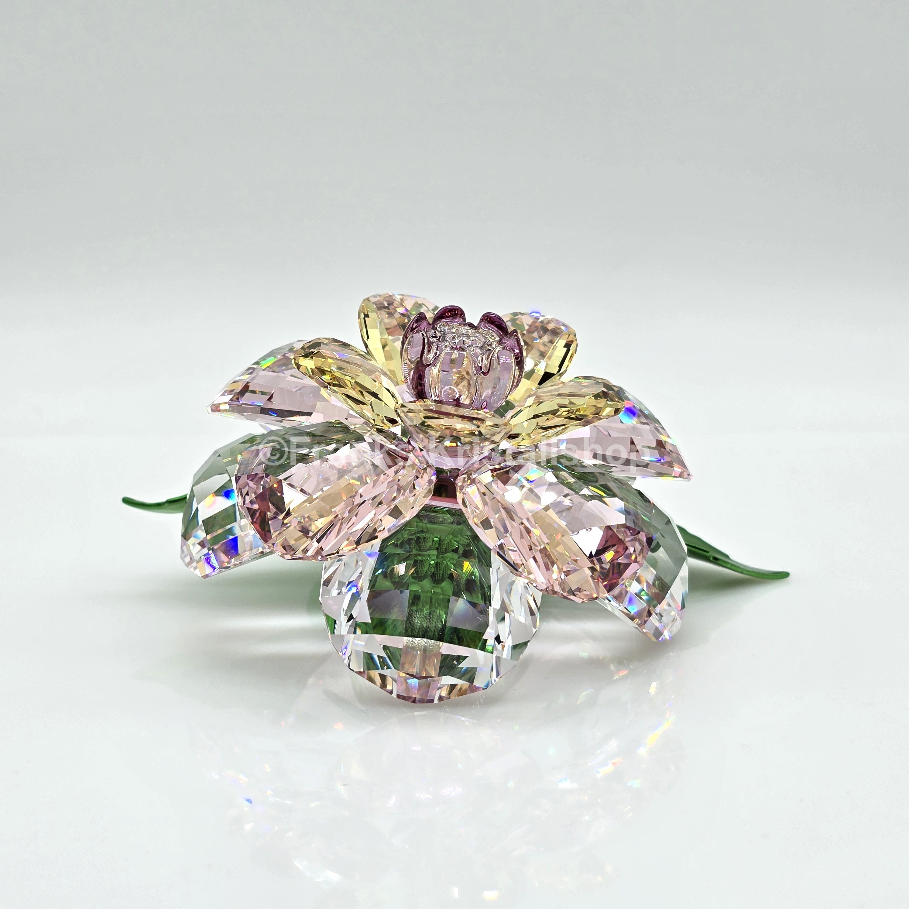 SWAROVSKI Blume Florere Kamelie Blumenträume 5721538